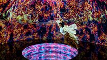 Dubai Frame and AYA Universe Combo Tickets