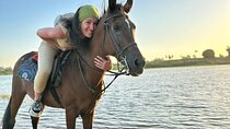 Luxor amazing horse riding tour in West bank with transfer 
