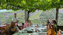 Douro: luxury & private tour with full lunch at Quinta do Vallado
