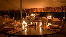 Camel Ride and Dinner in the Agafay Desert with Transportation