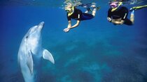 Hurghada Snorkeling Adventure: Giftun Island Day Trip