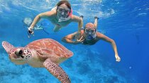 Full Day Diving Experience in Safaga, Red Sea