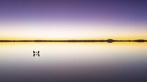 2 Day Uyuni Salt Flat tour with Pickup and Accommodation