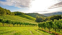 Full-Day Private Rhône Valley Wine Tour Experience from Lyon