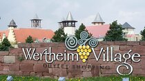 Private Shopping Tour from Frankfurt am Main to Wertheim Village