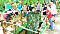 Cu Chi Tunnels in HCM City