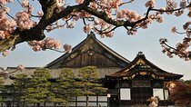 Kyoto 1 Day Tour - Golden Pavilion and Kiyomizu Temple from Osaka