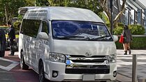 Private Transfer from Tokyo Port to Tokyo Narita Airport (NRT)