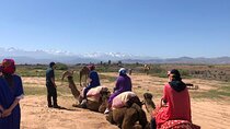 Agafay Desert: Excursion Quad bike, Camel Ride, dinner and Show 