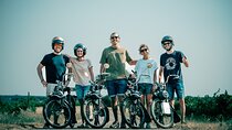 A Tour in Provence in a typical French motorized bike : the Solex
