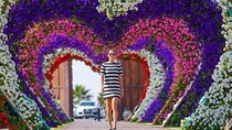 Dubai Combo: Miracle Garden with Dubai Frame Tickets