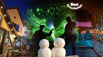 Korea's Must-See: Painters & Rail Bike & Nami & Petite France