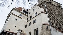 Bran Castle, Bear Sanctuary, and Rasnov Fortress Half Day Tour