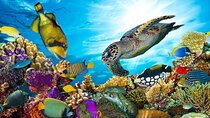 Sharm El Naga Full-Day Snorkeling Tour From Hurghada