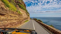 Half day Peninsula & Wine Combo tour