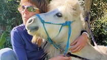 Pony Walking Adventure
