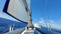 6 Hours Tour to Delos and Rhenia Islands with Sailing Yacht