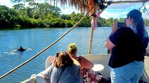 Cocoa Beach 2 Hour Dolphin Sightseeing tour- public