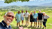 San Gimignano and Chianti Winery from Lucca