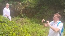 From Kochi: Day Tour to Munnar with Tea Garden and Waterfalls