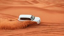 4 Hour Morning Desert Safari Tour with Camel Ride and Quad Bike