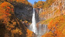 Full-Day Private Nikko Tour from Tokyo wd English Speaking Driver