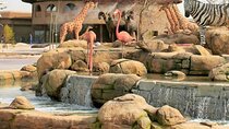 Dubai Safari Park