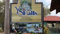 Private YS Falls & Appleton Estate Rum tour from Montego Bay 