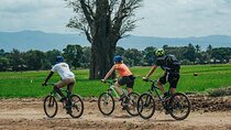 Cycle to Scenic Kikuletwa Hotspring