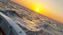 Half-Day Private Tour Sailing through the Gulf of Papagayo