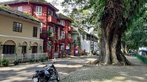 "Essentials" Shore Excursion of Kochi. Free Pick & Drop.
