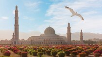  Private Tour in Grand Mosque Nakhal Fort and Nakhal Hotspring