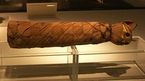 Private Tour Luxor Museum & Mummification Museum with Transport