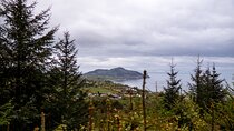 A Day on the Isle of Arran Including Admission from Glasgow