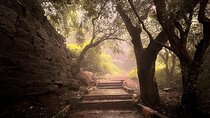 Nandi Trail Tour