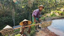 Full Day – Ubud Art Village and Mount Batur Kintamani with Lunch