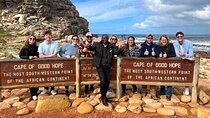 Cape Point, Penguins & Wine Tasting In Constantia Full Day Tour 