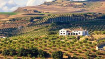 Full-Day Private Jerez & Cadiz Wine Tour Experience from Seville