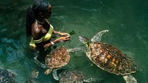 Full Day Private Zanzibar Tour with Sunset Beach
