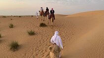 Desert Oasis Private Discovery in Sharm El Sheikh