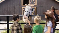 Central Florida Adventure Park - Authentic Dude Ranch Experience
