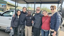 A Private 3 hours Game Drive plus white Rhino short Walk 