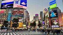Perfect Start for your Japan Trip - Private Walking Tour in Tokyo
