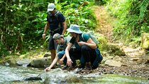 Pance Waterfalls: Hike to discover the biodiversity of the valley
