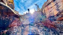 YOU DRIVE!! Rap & Ride - A Full Day of Rappelling and UTVs