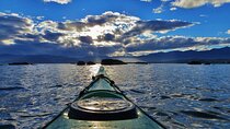 Kaikōura Day Tour With Kayak Experience From Christchurch