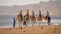 Blue Hole and Dahab City from Sharm El Sheikh