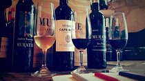 Private Winelands & Stellenbosch-Franschhoek Wine Tasting Tour