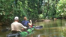 Guided Kayaking Tour to Punta Uva River with Nature and Swimming