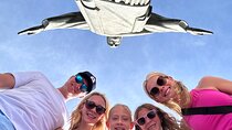 Best of Rio Private Tour with Photo experience